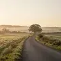 A peaceful path winding toward a bright horizon at sunrise, symbolizing hope and the journey of beginning again