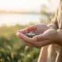 Close-up of cupped hands gently holding a single wildflower in soft, golden light, with a peaceful, blurred natural background, symbolizing the sacred gift of awareness and finding the divine in ordinary moments