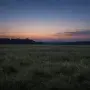 An empty field at dusk with soft light fading over untouched grass symbolizing silence after historical loss