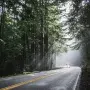 individual journey 