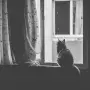 stillness.. nothing to prove