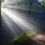sunlight 