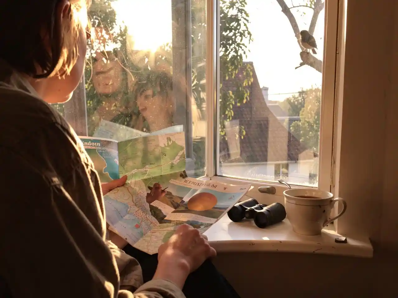 Person by a sunny window holding a map with binoculars and tea, looking out at the neighborhood