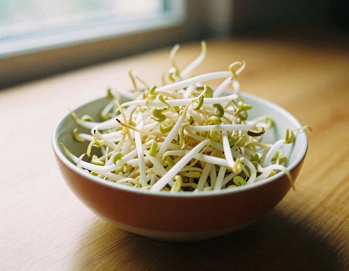 Fresh bean sprouts in a bowl showing vibrant green nutrition