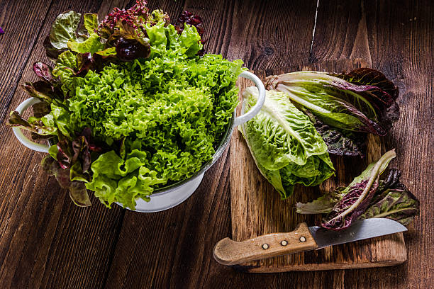 Assorted Lettuce Varieties Displayed Fresh and Crisp