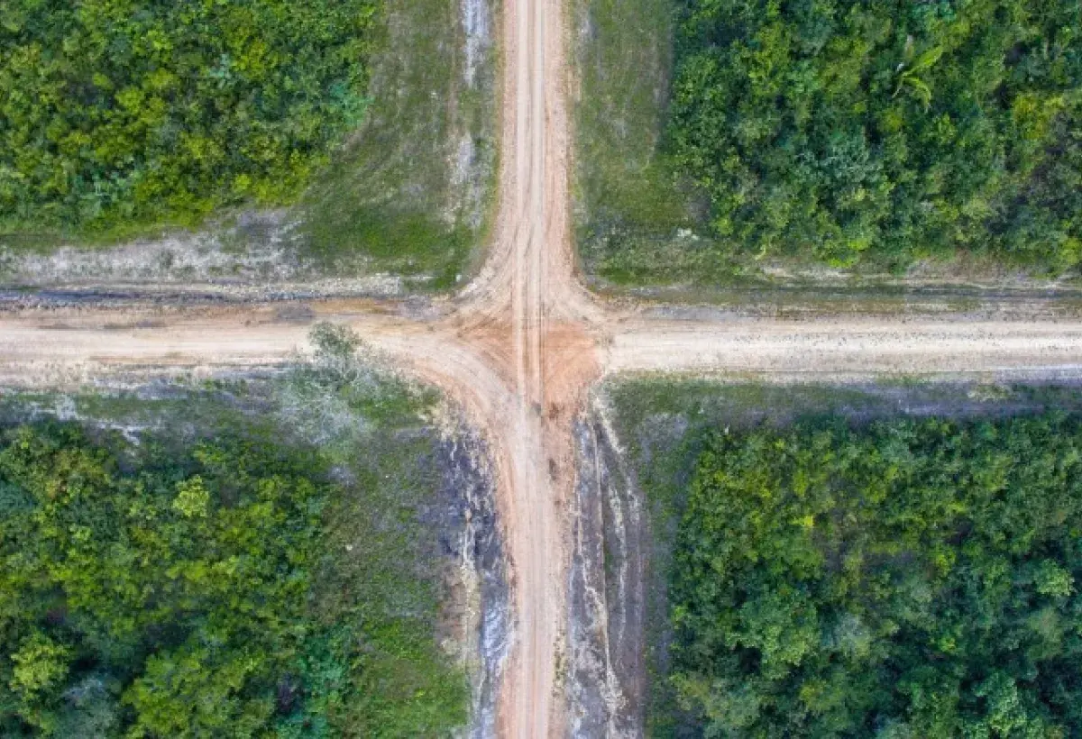 Crossroads: Finding Your Path Amid Fear and Possibility