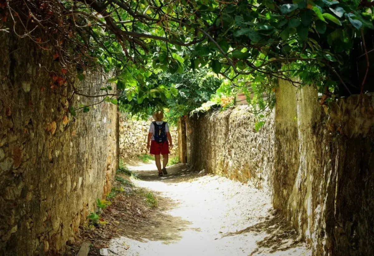 Local Exploration (Half-Day "Voyages")