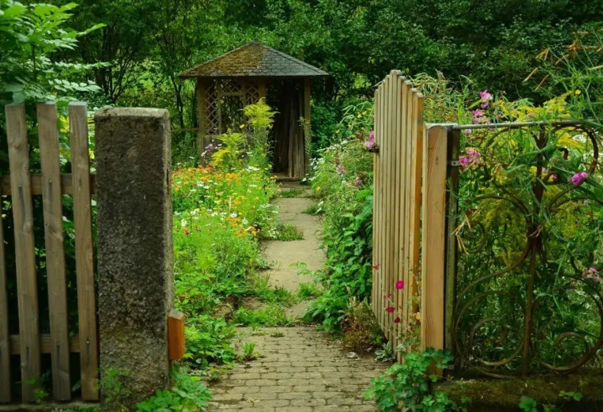 Gardening as Wellness: Cultivating Mind and Body