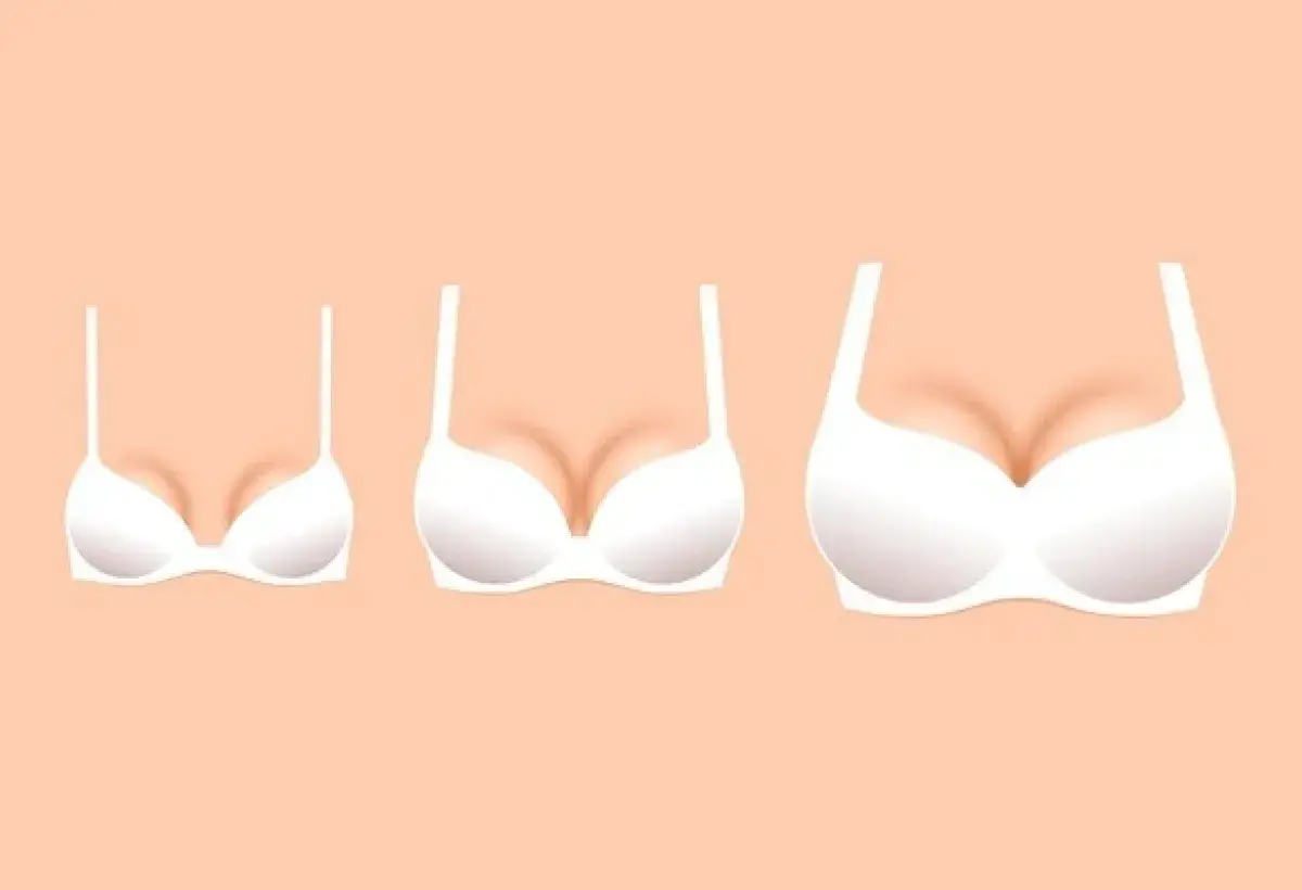 Cup Sizes Didn’t Exist Until the 1930s