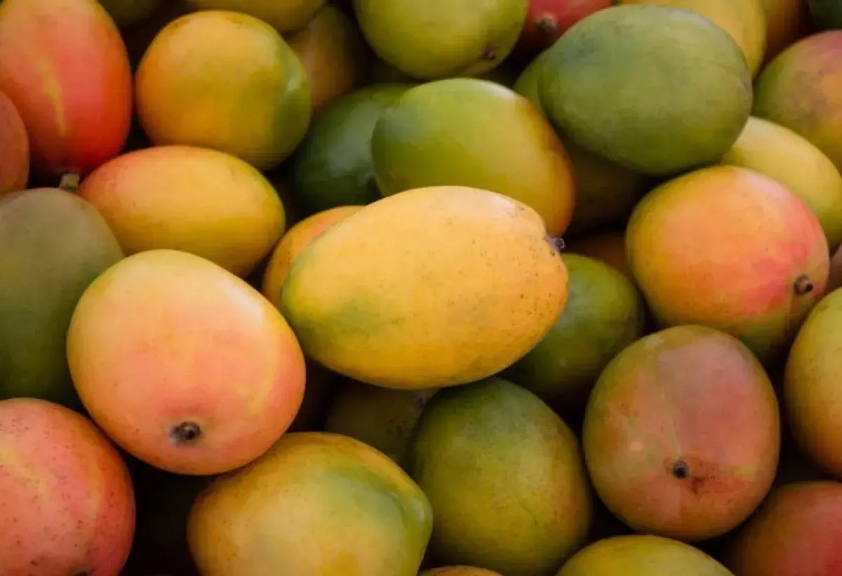 Mangoes