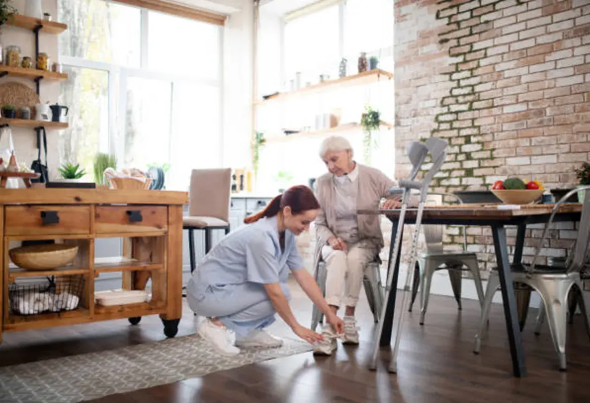 Elder Care Landscape: Strengths, Best Practices, and Reform Imperatives