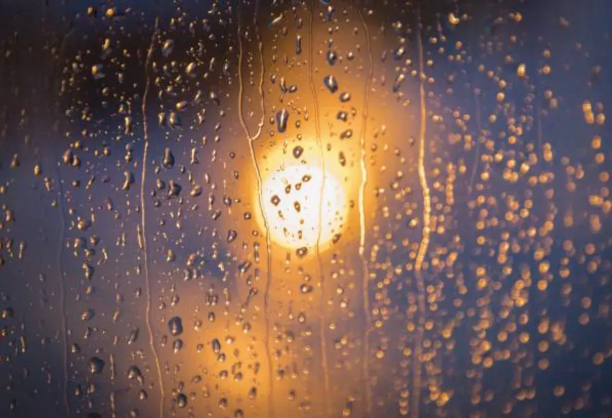 Raindrops on a Window with Soft Light