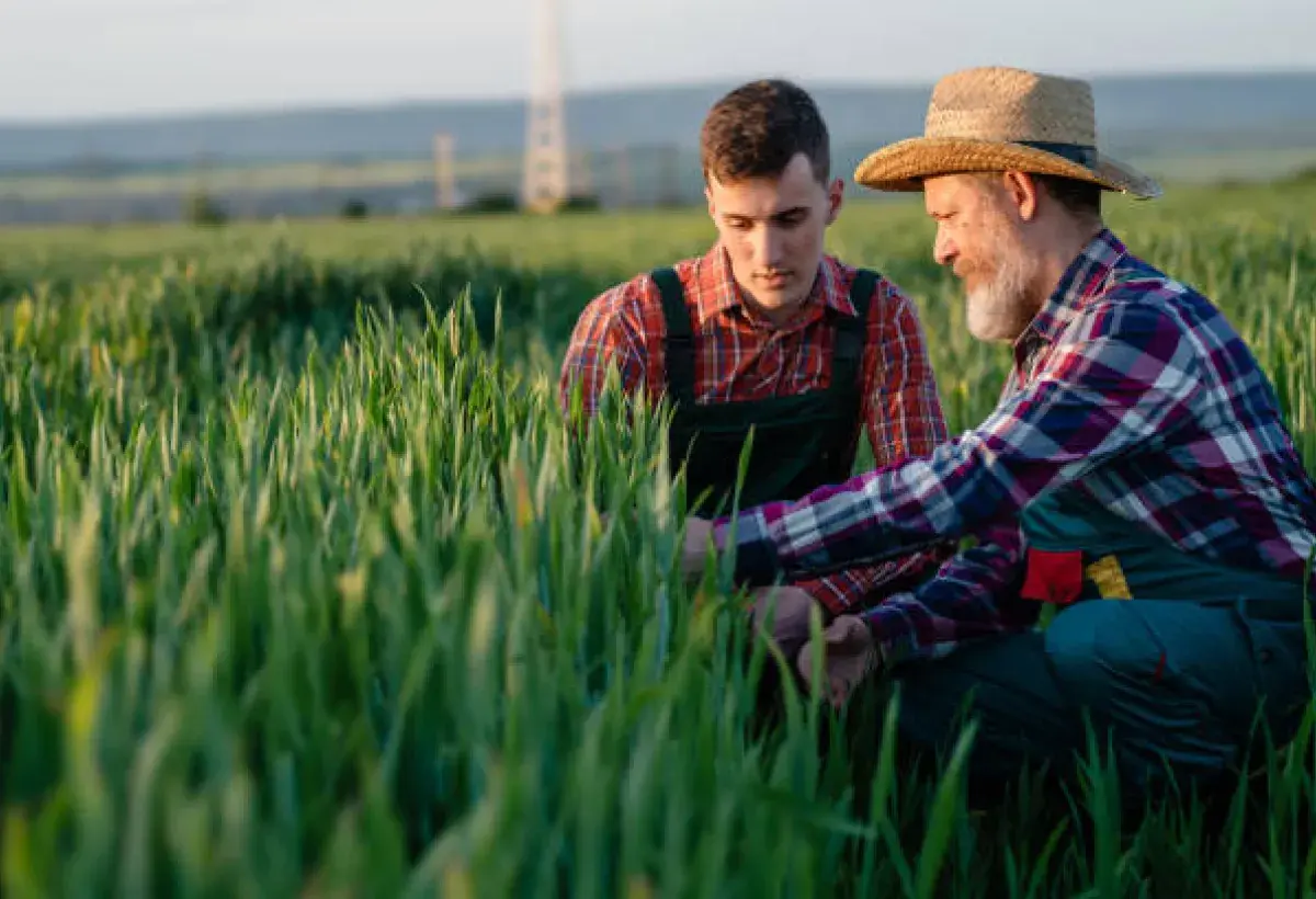 Agri-Senior Knowledge Monetization