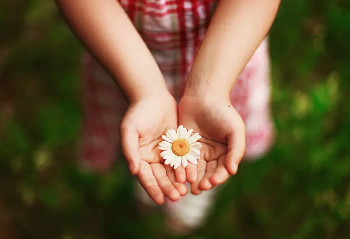 Life and restoration, echoing the seven sneezes and revived hope