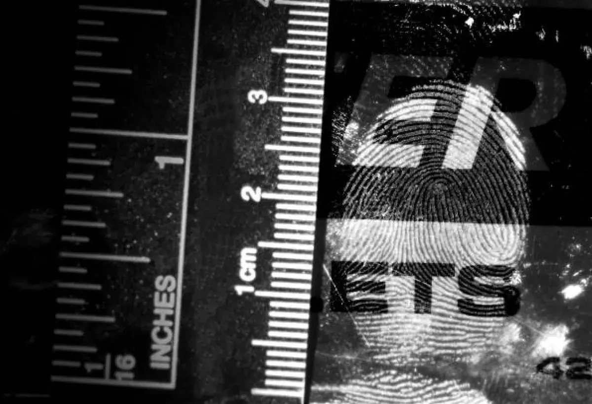 Scene 1: The "CSI: Your House" Edition