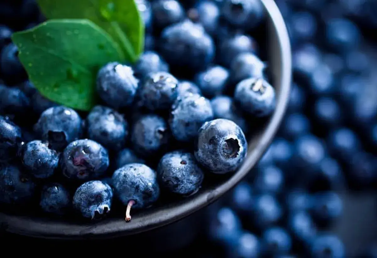 Blueberries rich in antioxidants for youthful skin