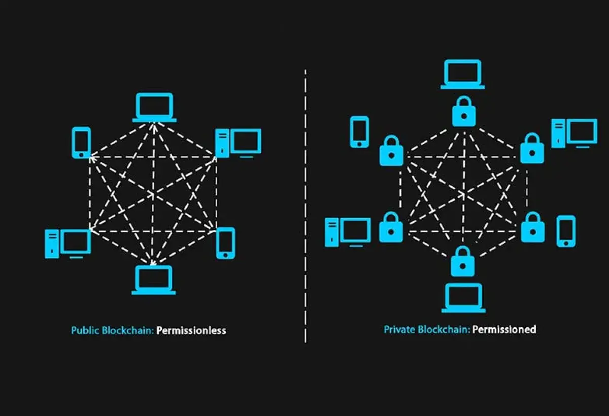 Blockchain Network Types Diagram