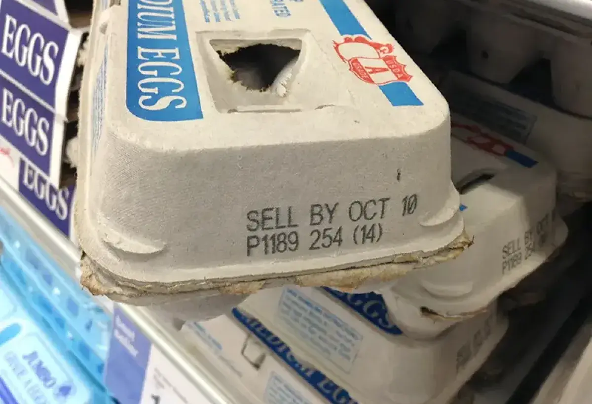 Egg cartons showing expiration dates for proper storage