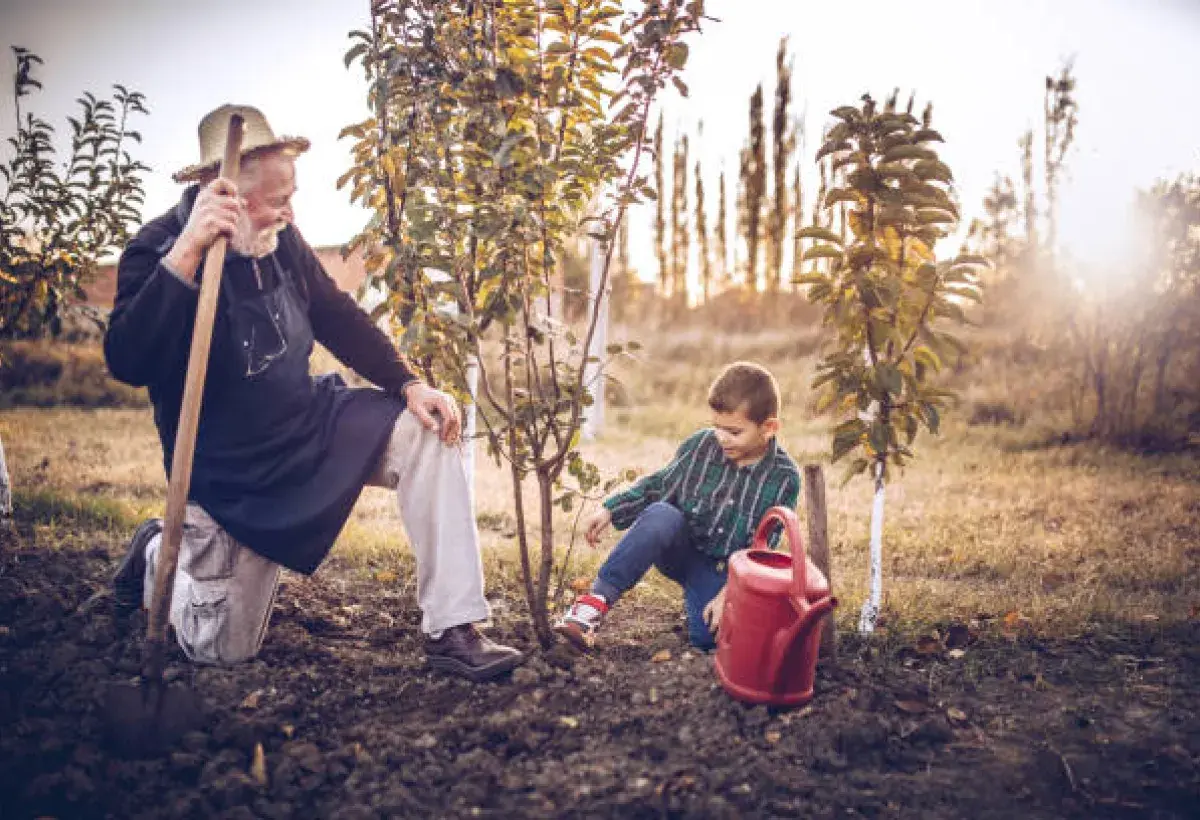 Elder planting a tree with grandchild, symbolizing aging with purpose and continuity.