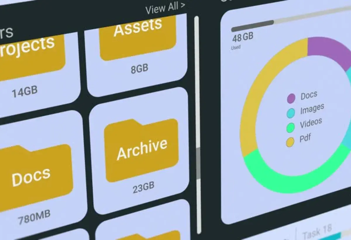 Storage Options on Budget Smartphone