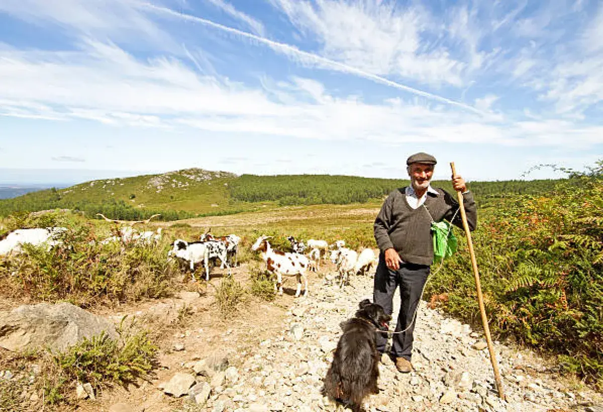 Sardinian Daily Activity and Longevity