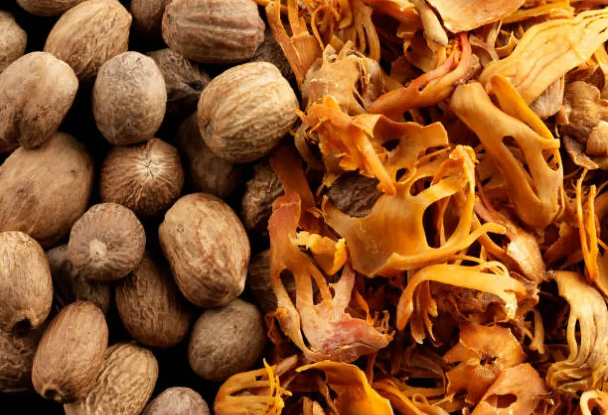 Nutmeg and Mace Spices Side by Side