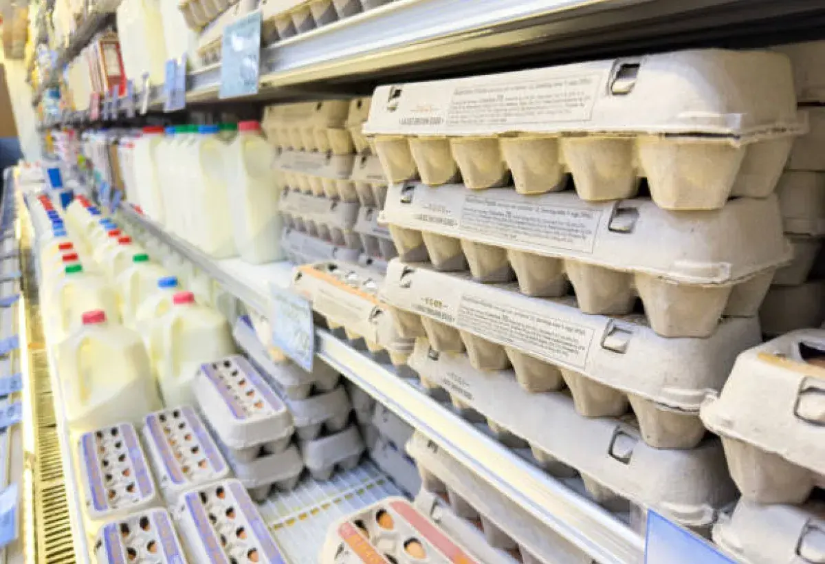 Eggs stored in a refrigerated section at an American supermarket.