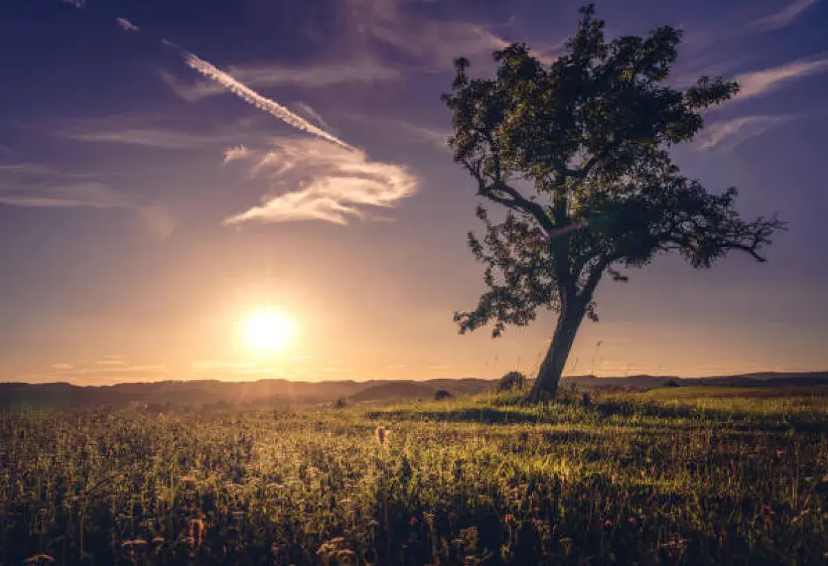 Tranquil landscape symbolizing lasting joy within.