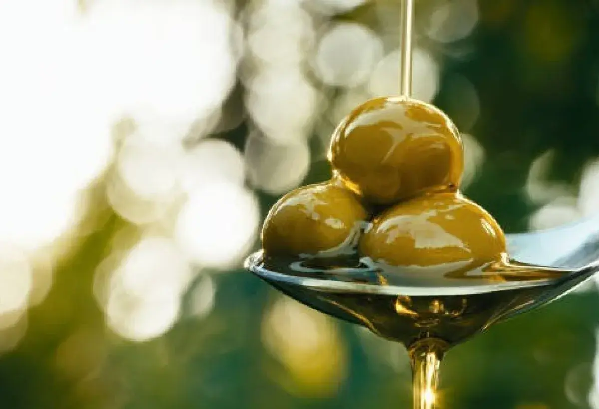 Olive oil supporting healthy liver fat metabolism