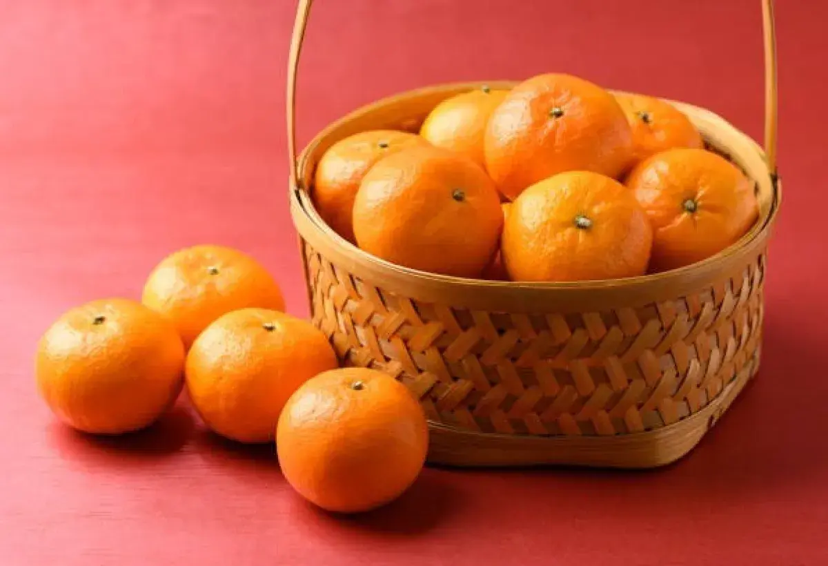Fresh Oranges Rich in Vitamin C