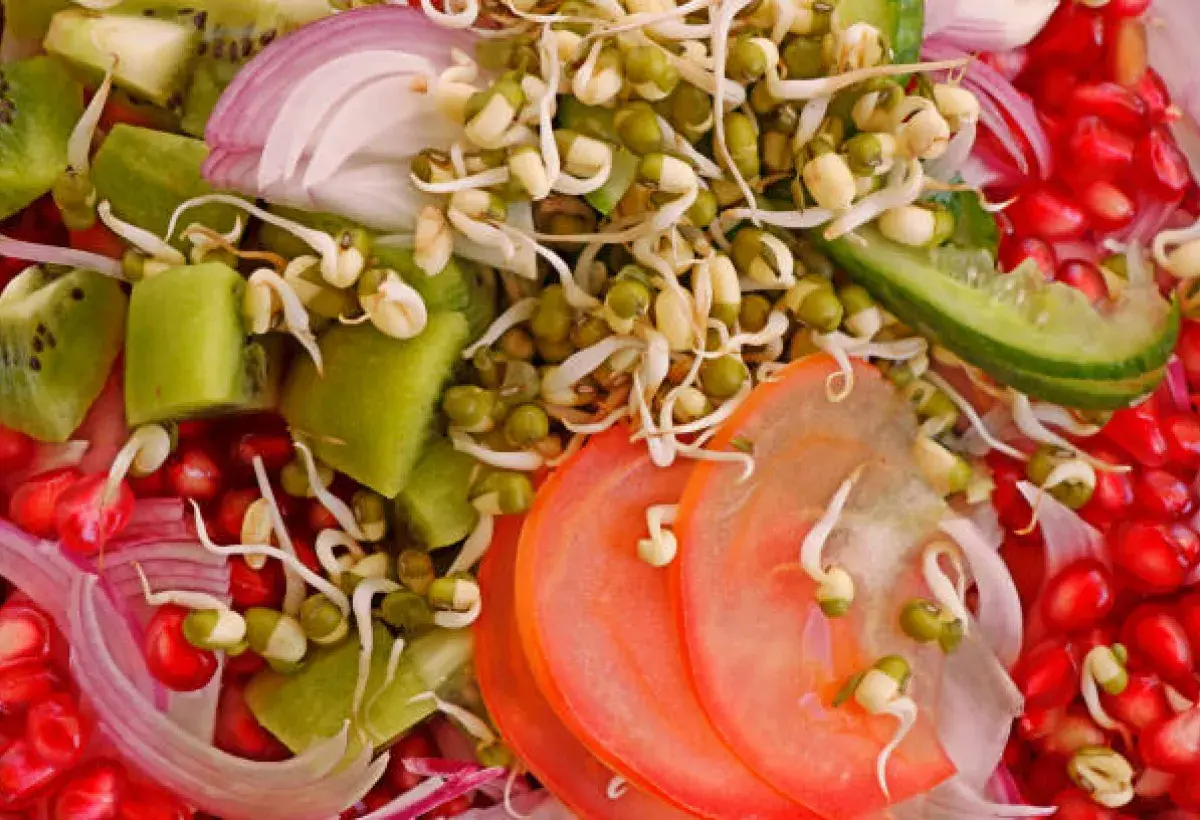 Bean sprouts paired with antioxidant-rich fruits and vegetables