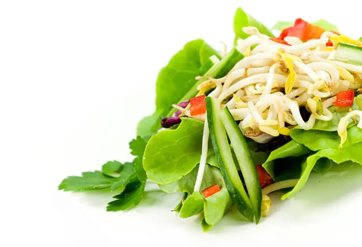 Chilled hydrating bean sprout salad with cucumbers and fresh herbs