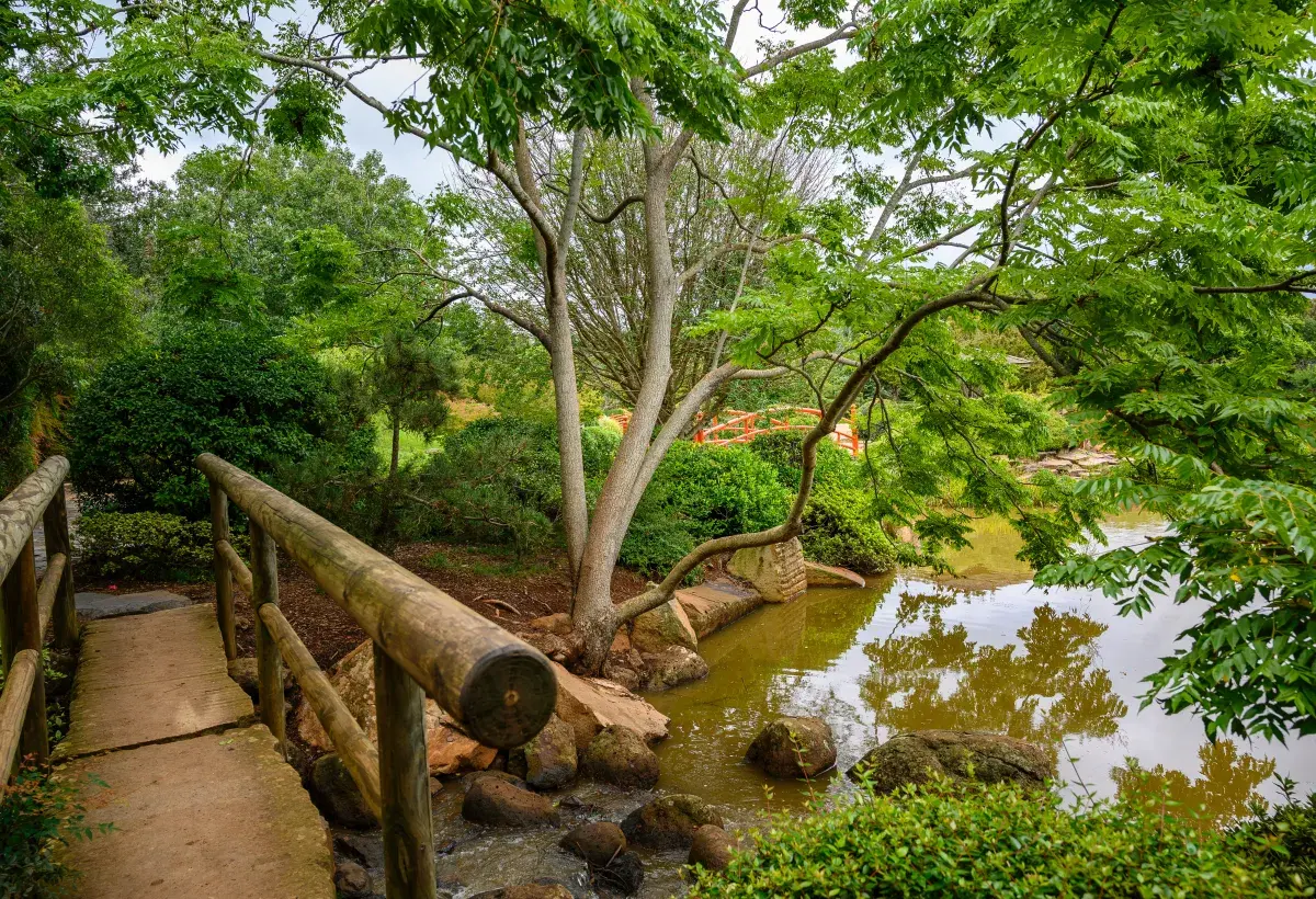 bridge to awareness of what we allow inside 