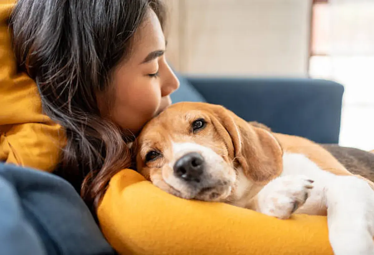 Owner hugging dog, warm emotional moment