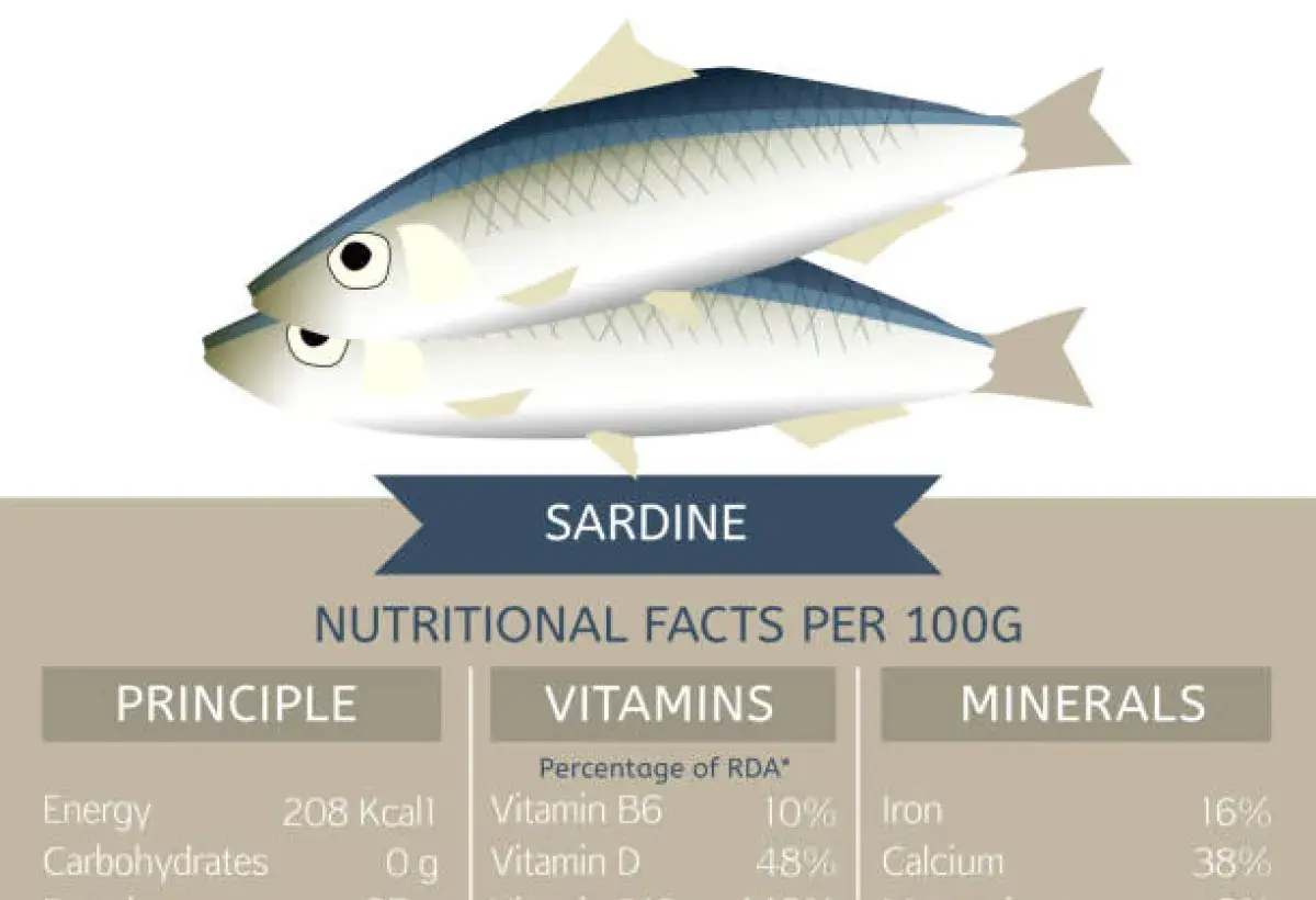 Nutrient rich canned sardines highlighting protein and omega 3 content