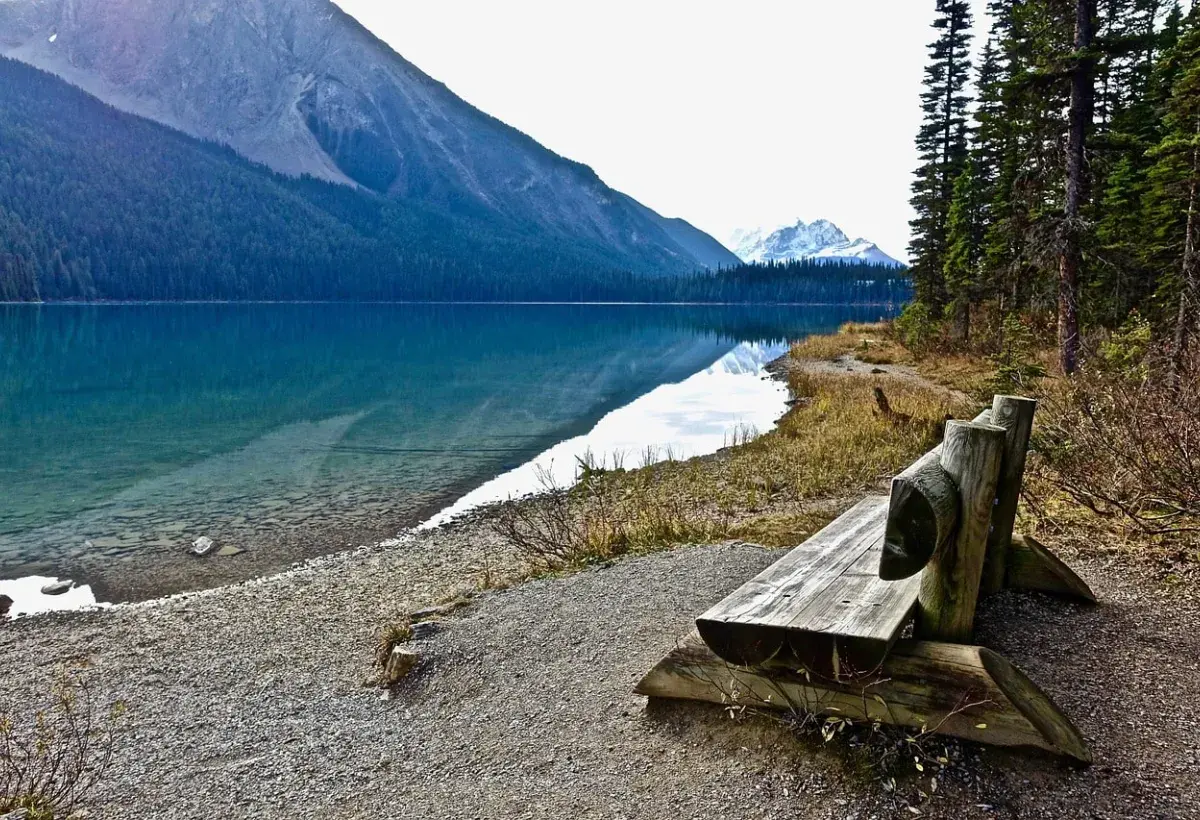 You are allowed to sit now