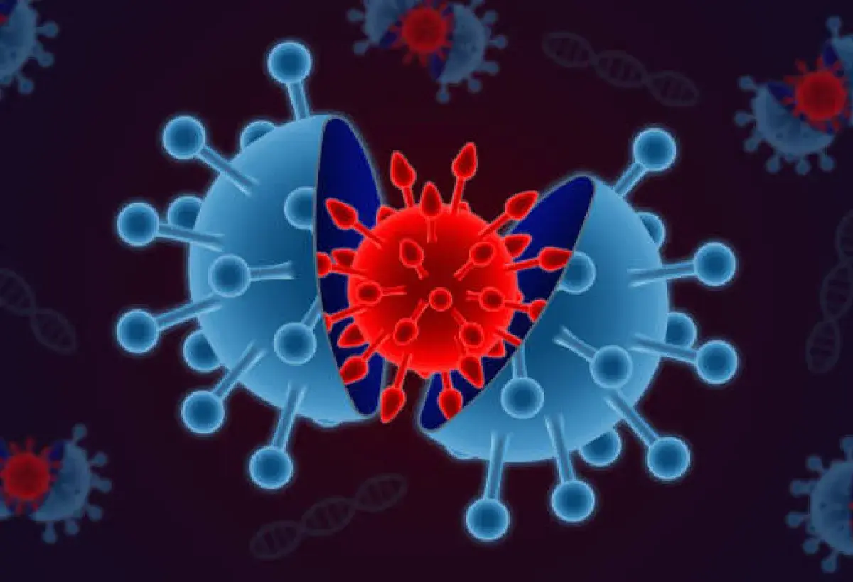 How vaccines protect without causing disease