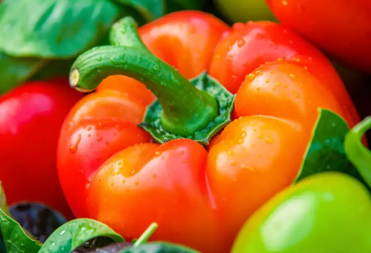 Bright colorful vegetables showing rich natural color