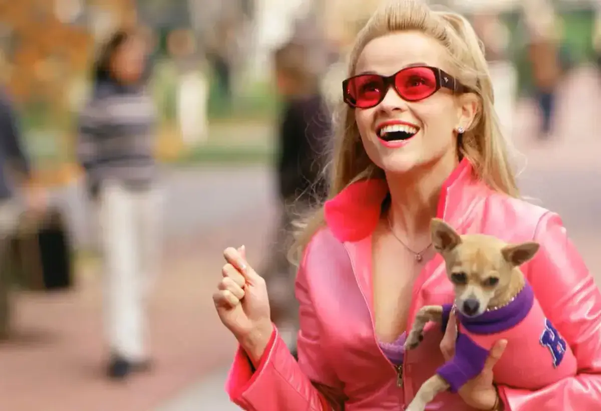 Bruiser Woods in pink outfit from Legally Blonde