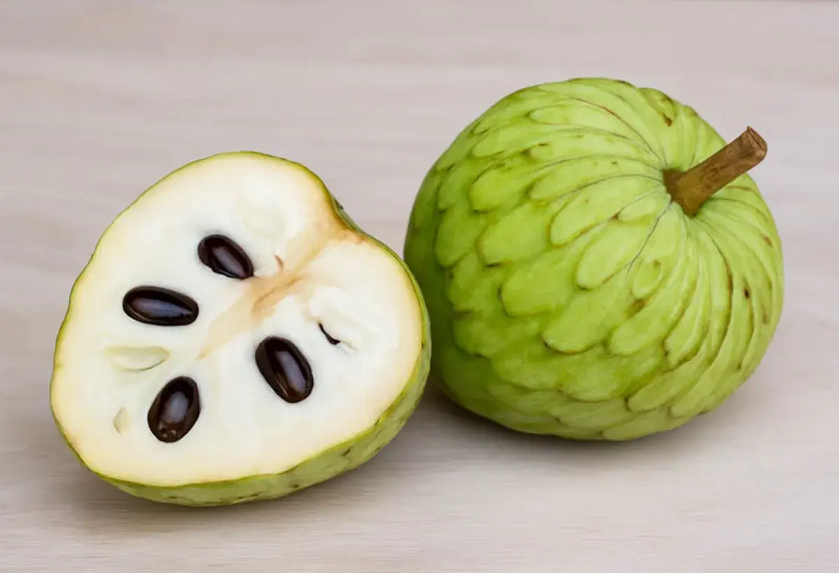 Pawpaw fruit compared to other custard apple family fruits