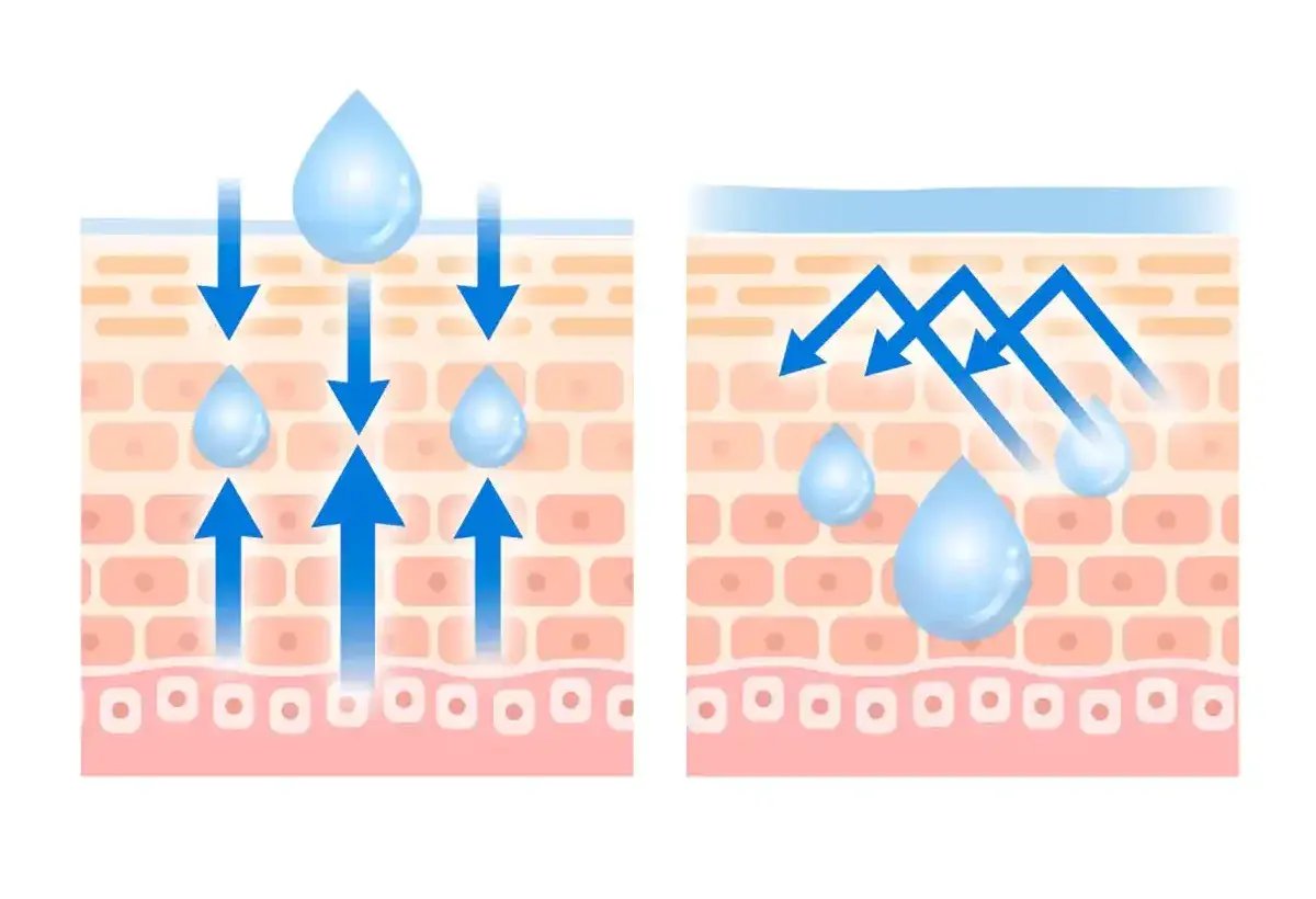 Diagram showing how petroleum jelly forms a protective skin barrier