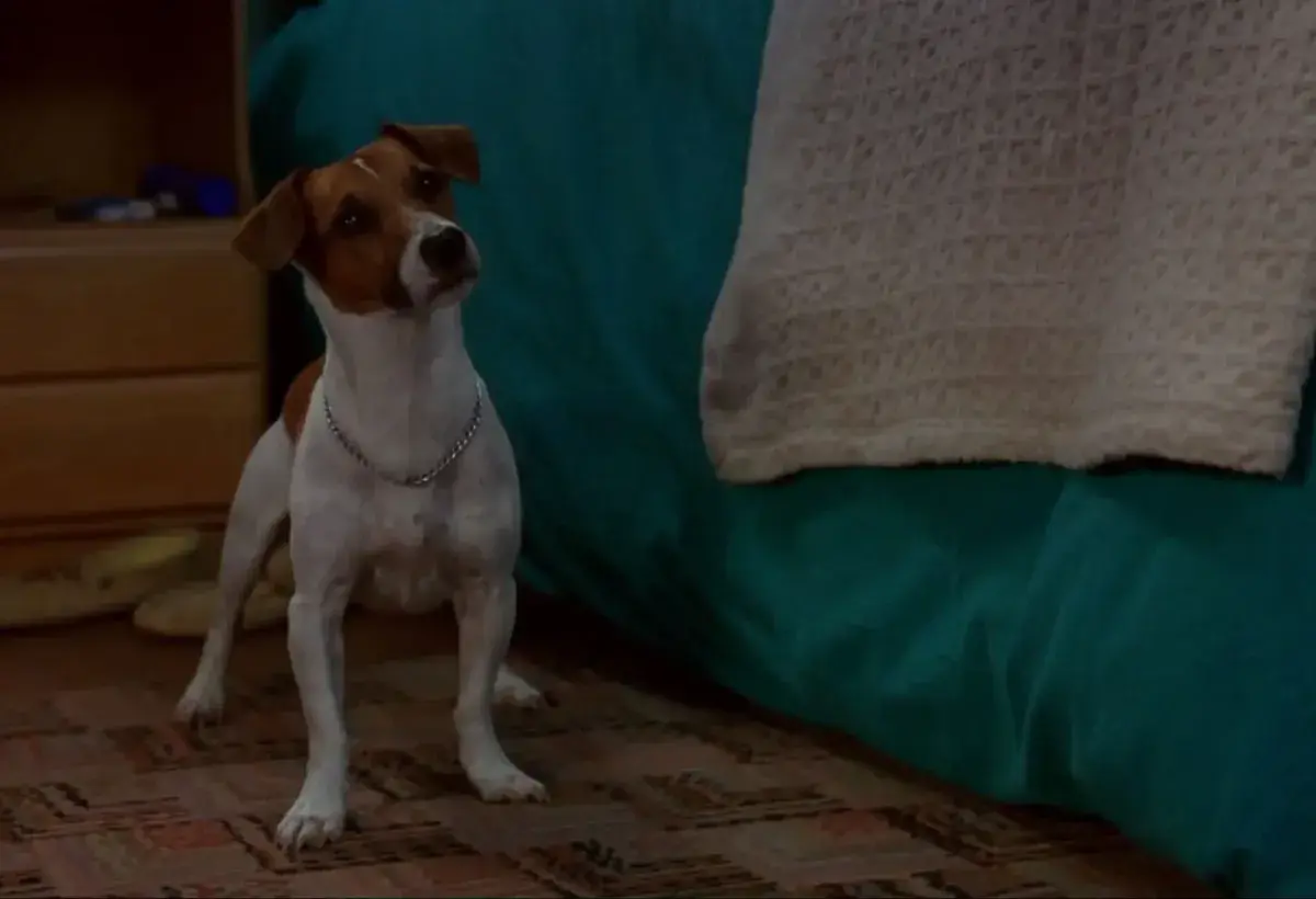 Milo reacting in The Mask