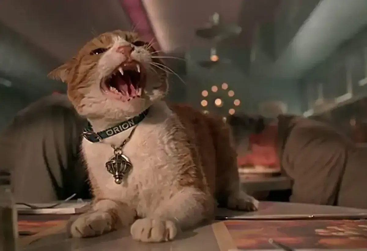 Orion the cat wearing galaxy collar in Men in Black