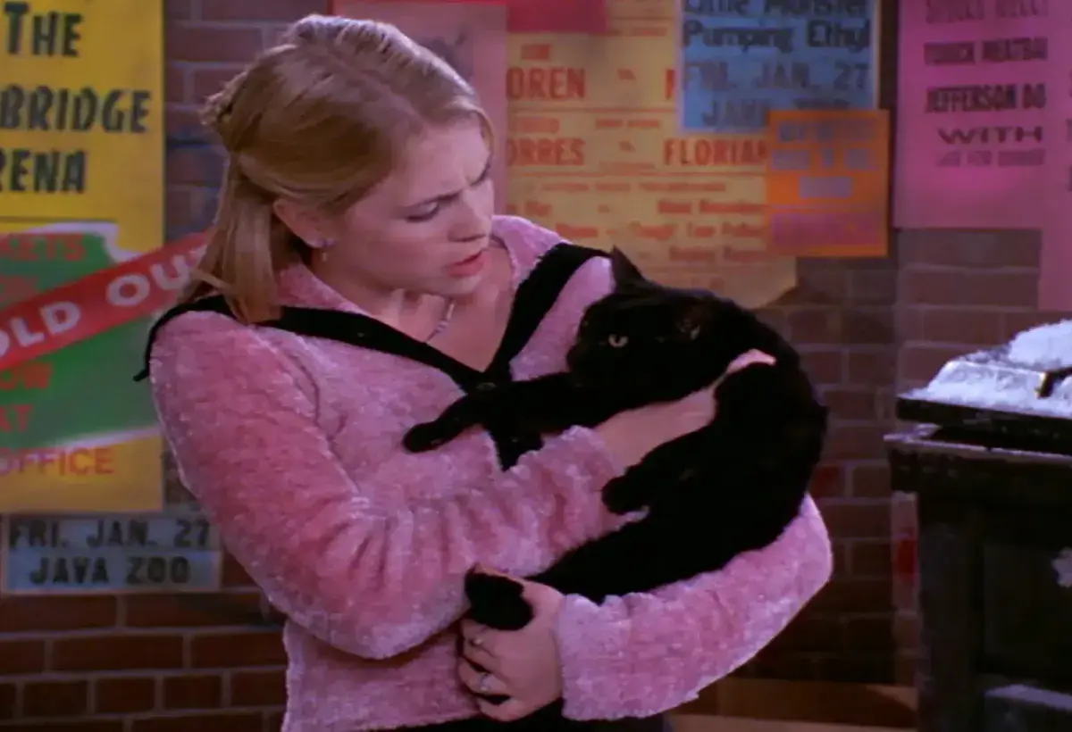 Salem the black cat in Sabrina the Teenage Witch
