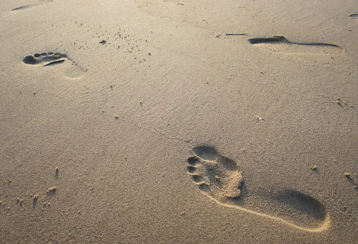 life's journey is fragile 