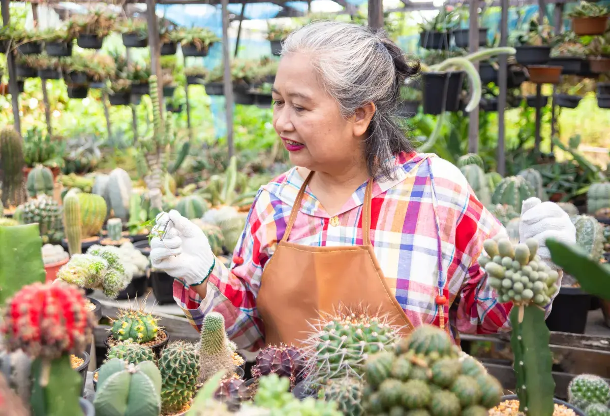 elder lady -planting 