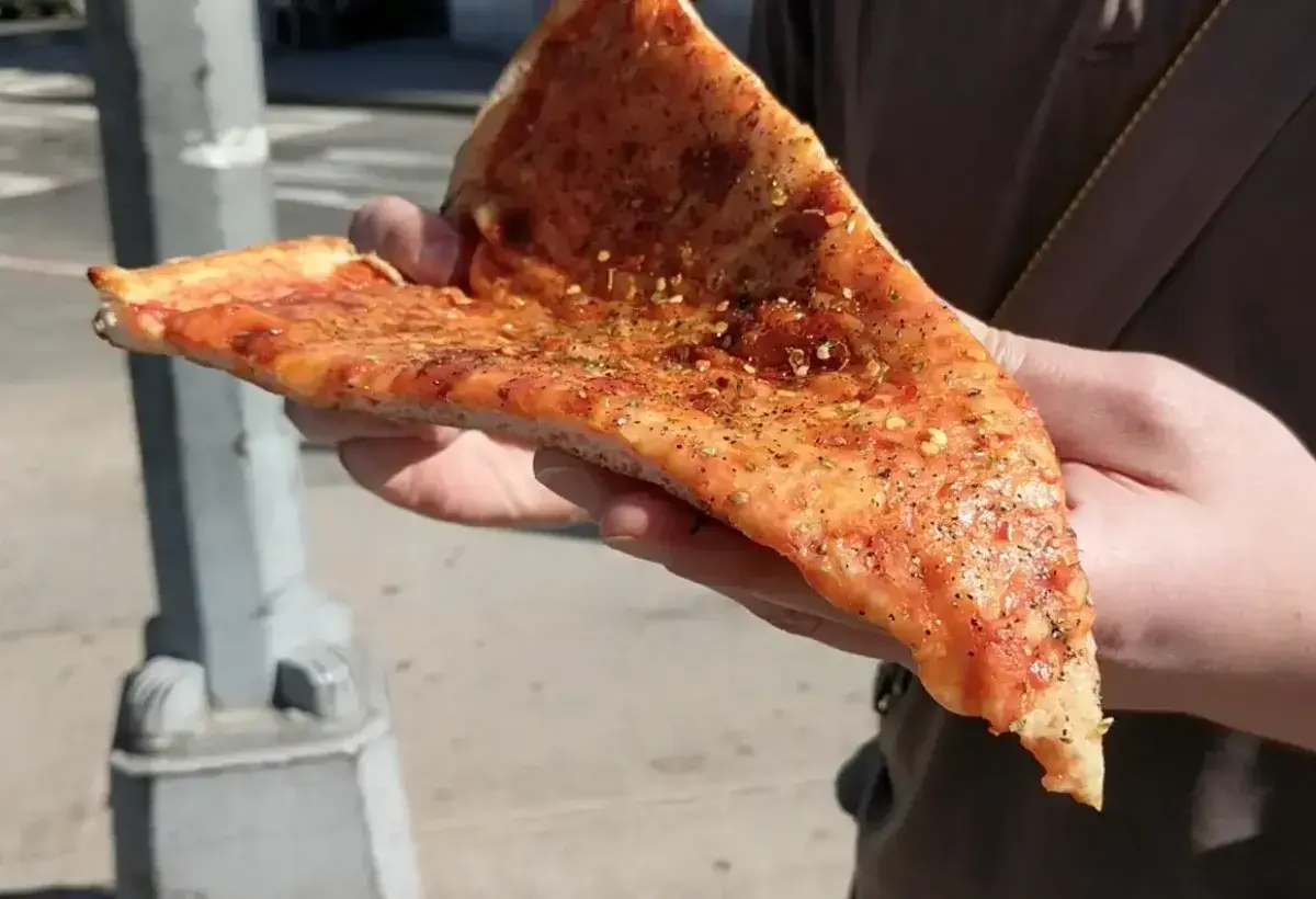 New York style pizza slice
