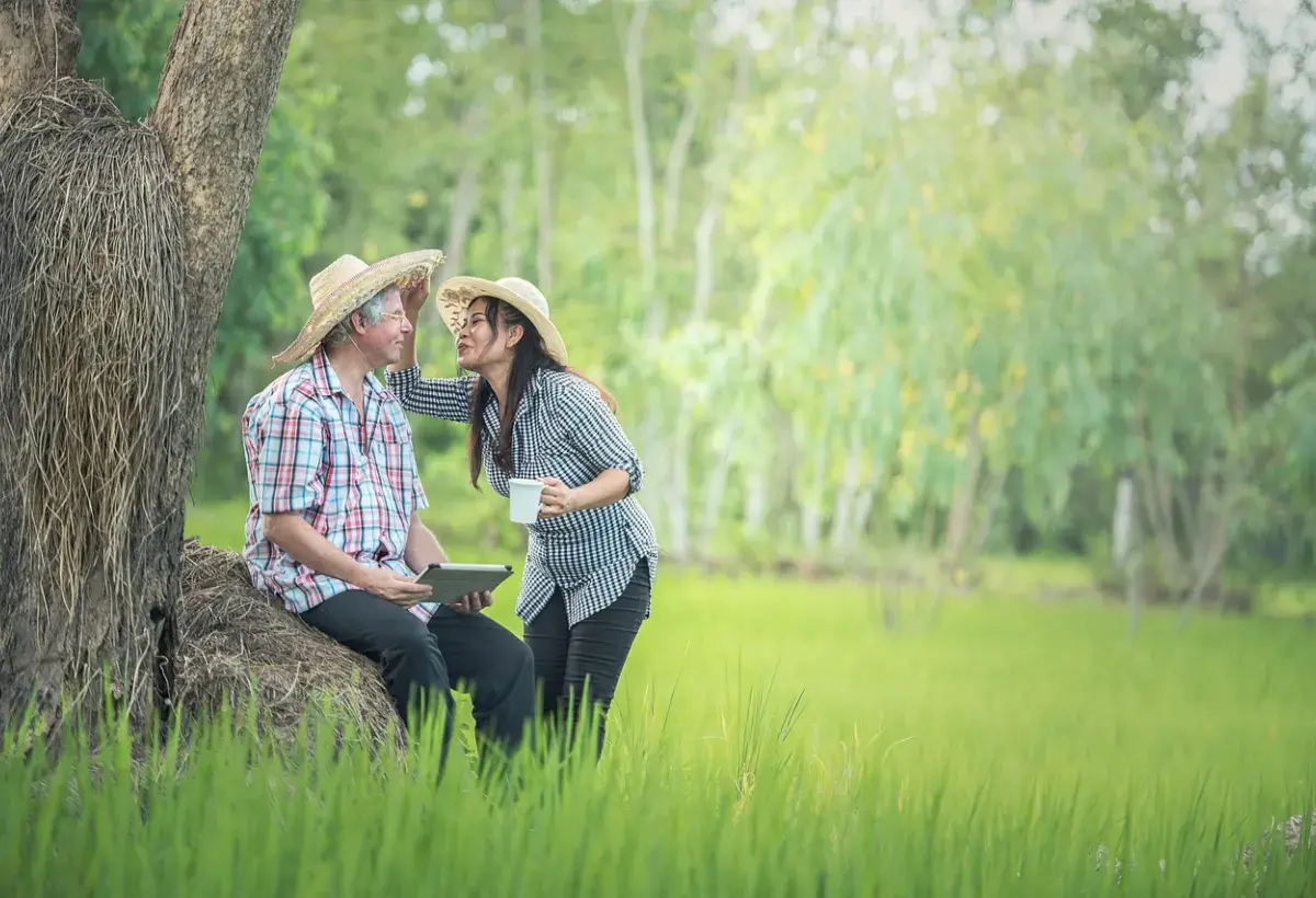 couple in the rice field 