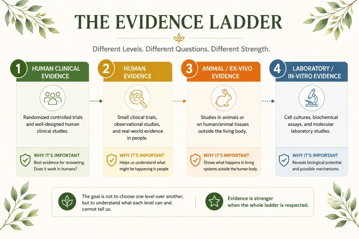 evidence ladder 2