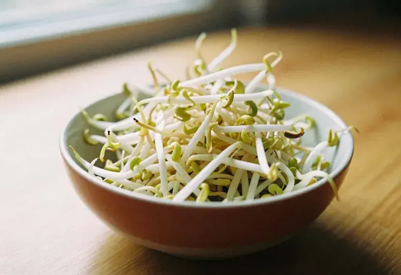Fresh bean sprouts in a bowl showing vibrant green nutrition